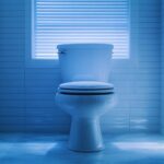 Urine qui mousse : faut-il s&rsquo;inquiéter ? Décryptage des signaux d&rsquo;alerte hépatiques